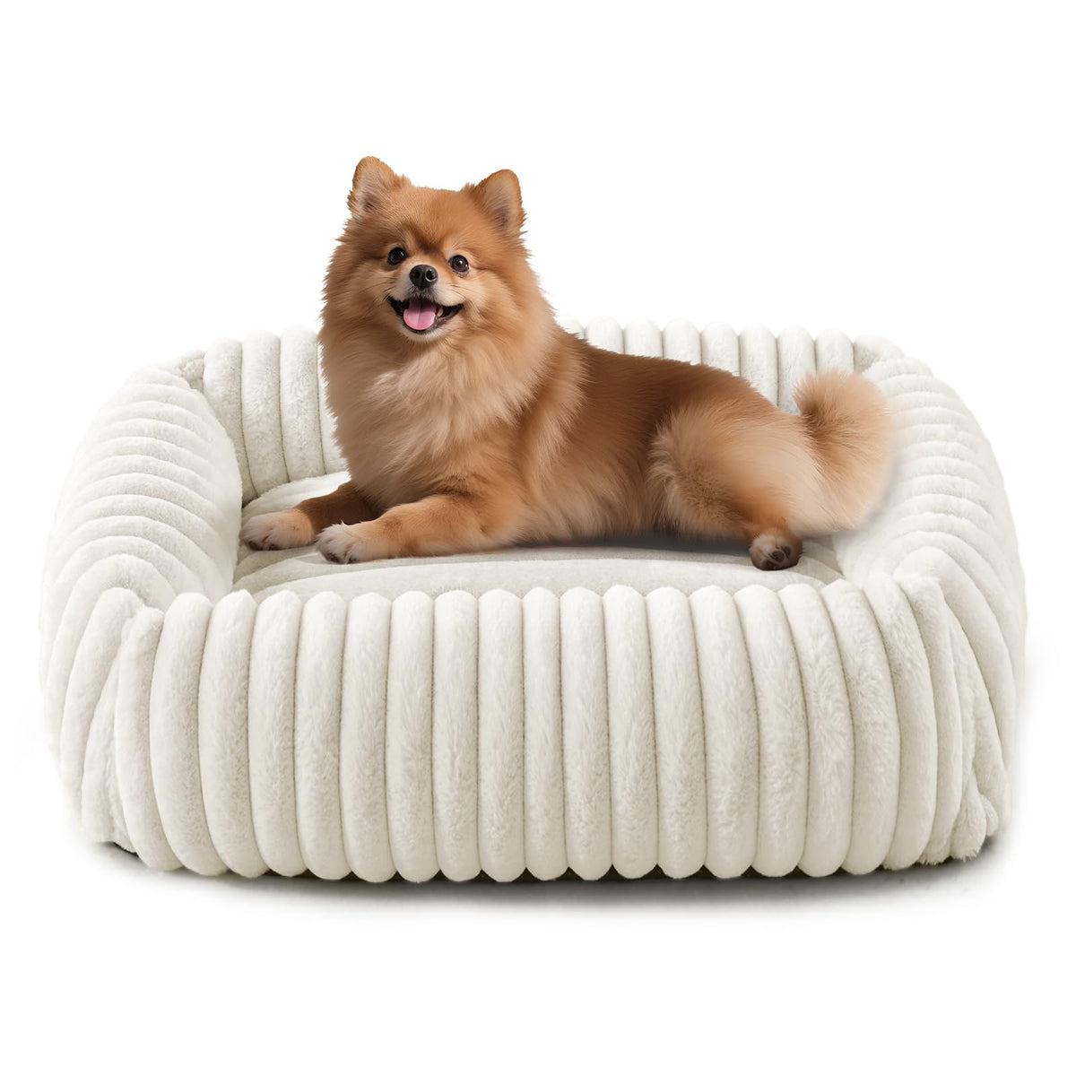 FURTIME Washable Dog Bed for Small Dogs, Cat Beds for Indoor Cats, 20"