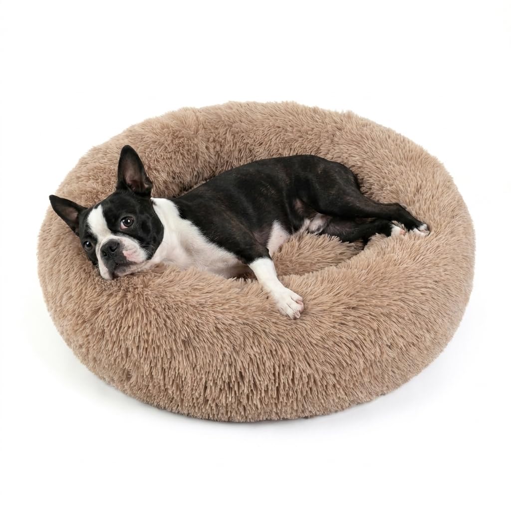 Small Calming Dogs Bed for Small Dogs Anti-Anxiety Machine Washable Fluffy Luxury Anti-Slip Waterproof Mute Base Warming Cozy Soft Pet Puppy Round Bed