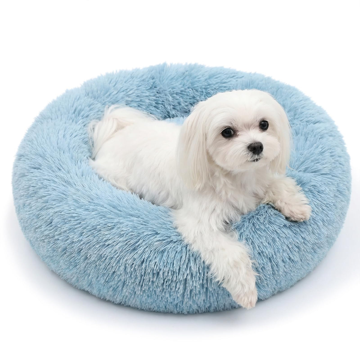Small Calming Dogs Bed for Small Dogs Anti-Anxiety Machine Washable Fluffy Luxury Anti-Slip Waterproof Mute Base Warming Cozy Soft Pet Puppy Round Bed