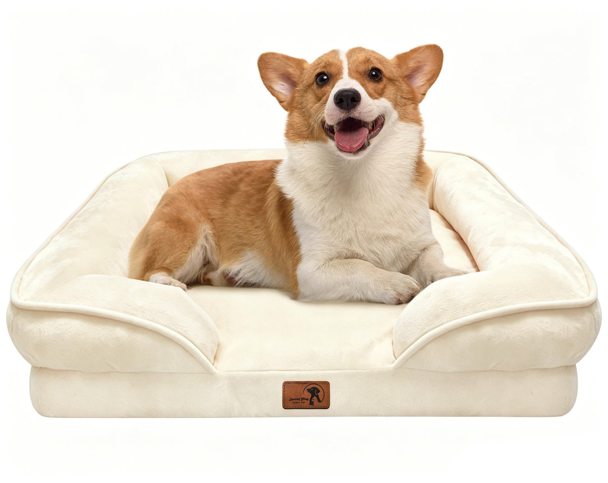 Spotted Play Orthopedic Dog Bed with Sides - Dog Sofa Beds for Medium Dogs, Supportive Foam Pet Couch Bed with Washable Removable Cover, Waterproof Lining and Non-Slip Bottom, Grey - M