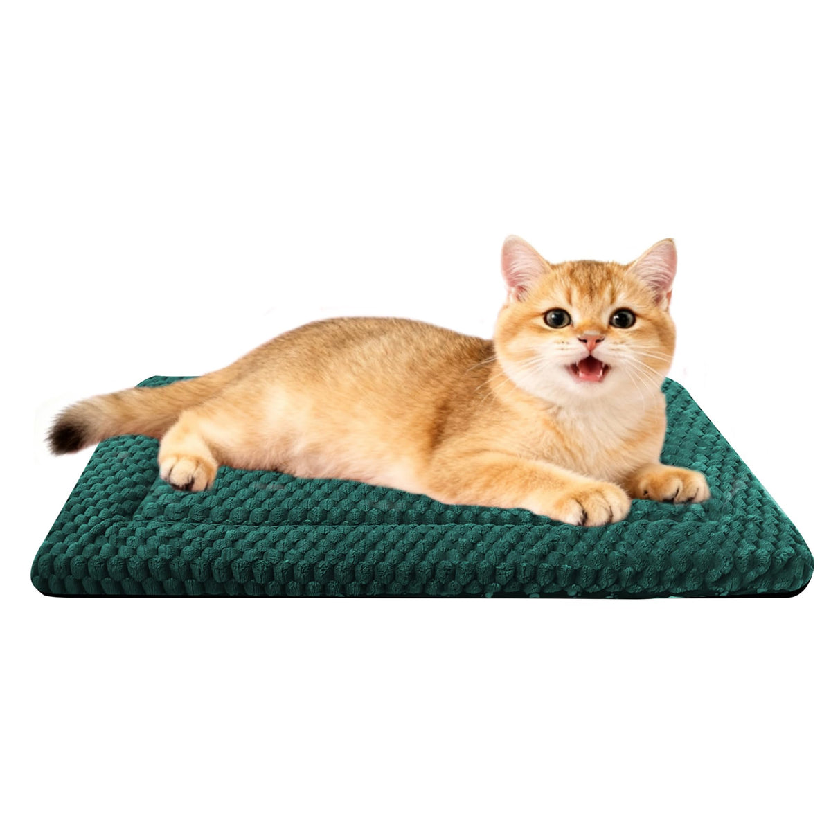 Dog Bed Mat,Reversible & Ultra Soft Kennel Pad-Machine Washable Pet Bed for Dogs & Cats-All-Weather Crate Liner for Crates,Carriers & Travel (Pink, 35" L x 23" W x 1.5" Th)