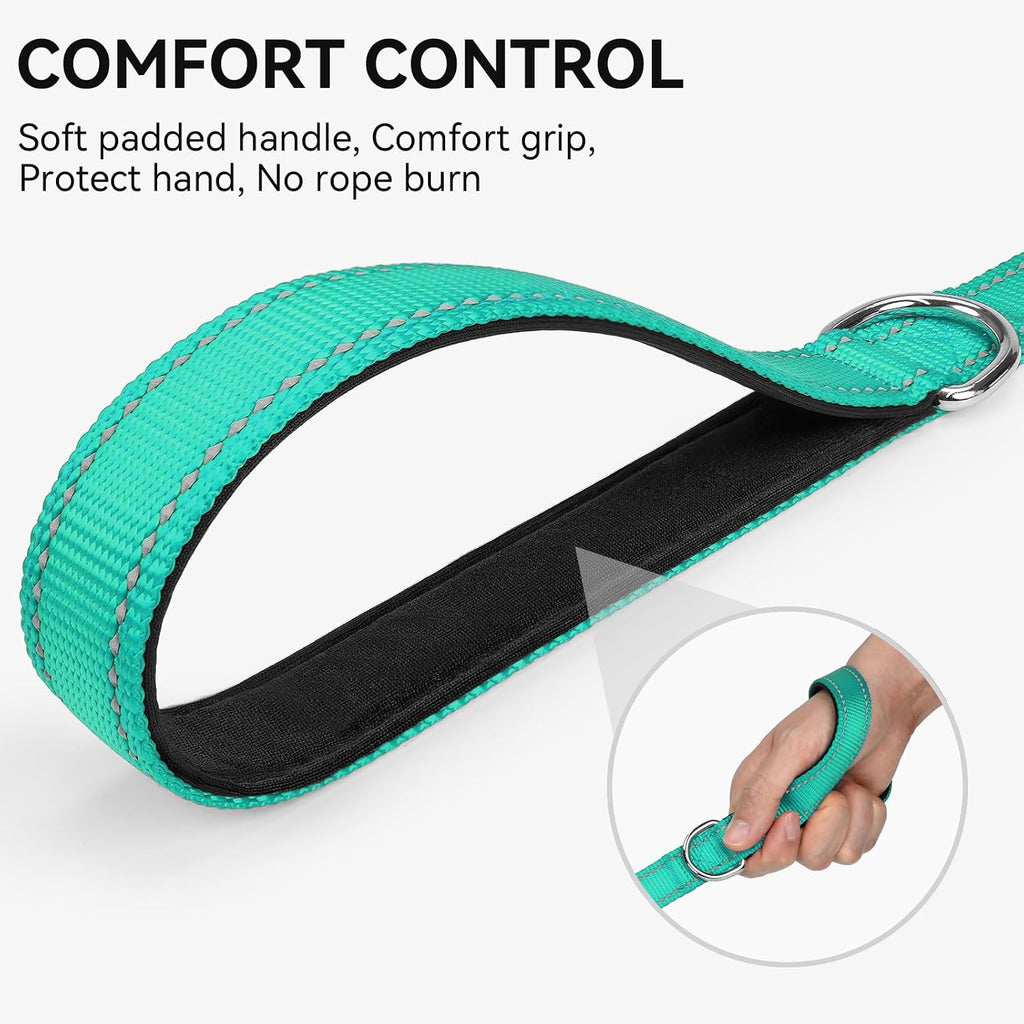 Joytale Reflective Dog Leash for Medium & Large Dogs, 6 FT x 1", Turquoise