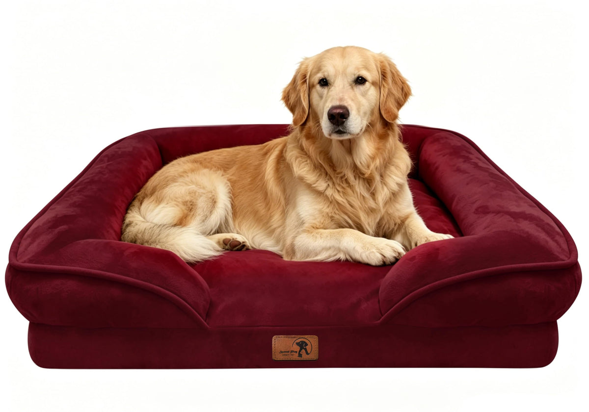 Spotted Play Orthopedic Dog Bed with Sides - Dog Sofa Beds for Medium Dogs, Supportive Foam Pet Couch Bed with Washable Removable Cover, Waterproof Lining and Non-Slip Bottom, Grey - M