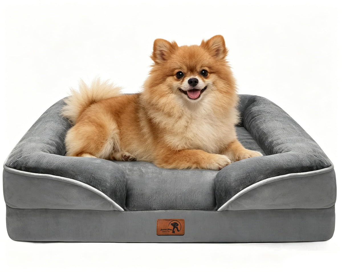 Spotted Play Orthopedic Dog Bed with Sides - Dog Sofa Beds for Medium Dogs, Supportive Foam Pet Couch Bed with Washable Removable Cover, Waterproof Lining and Non-Slip Bottom, Grey - M