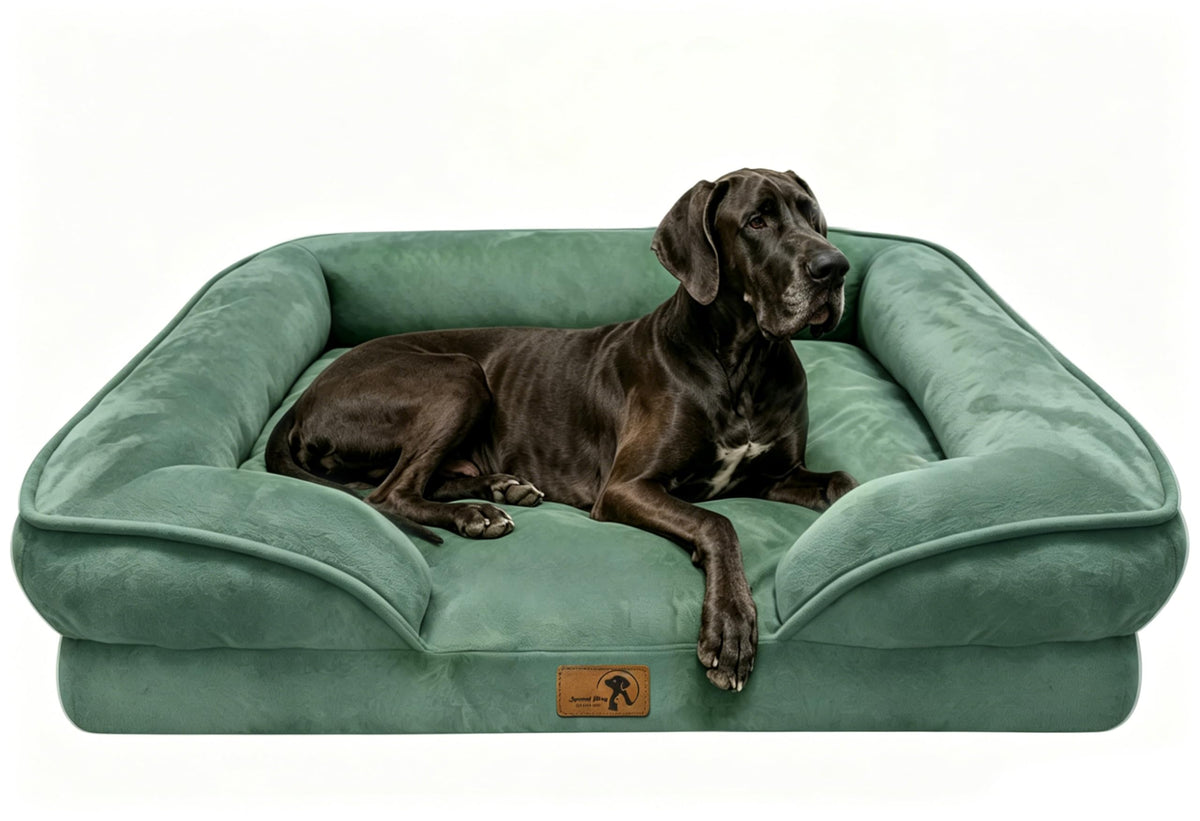 Spotted Play Orthopedic Dog Bed with Sides - Dog Sofa Beds for Medium Dogs, Supportive Foam Pet Couch Bed with Washable Removable Cover, Waterproof Lining and Non-Slip Bottom, Grey - M