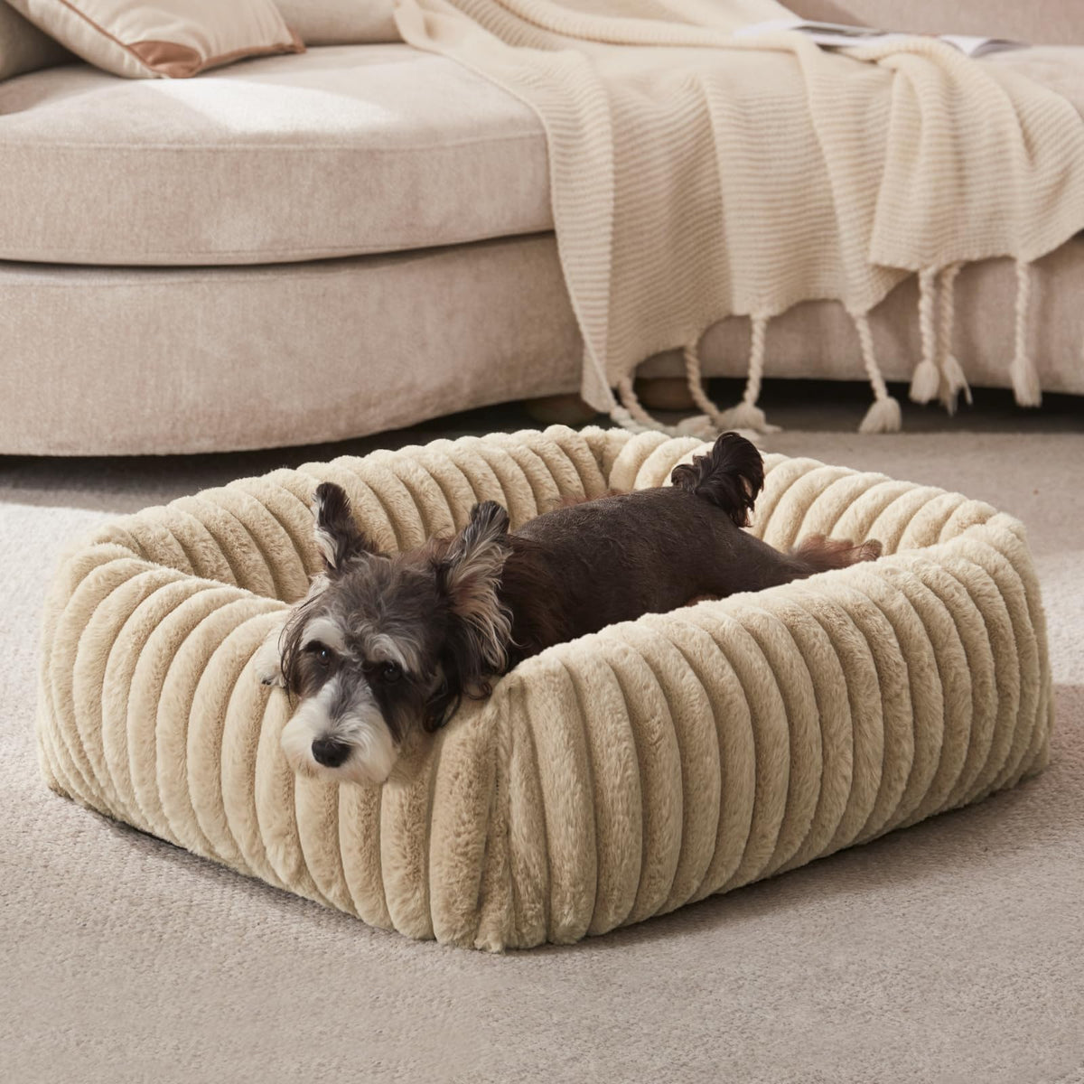 FURTIME Washable Dog Bed for Small Dogs, Cat Beds for Indoor Cats, 20"