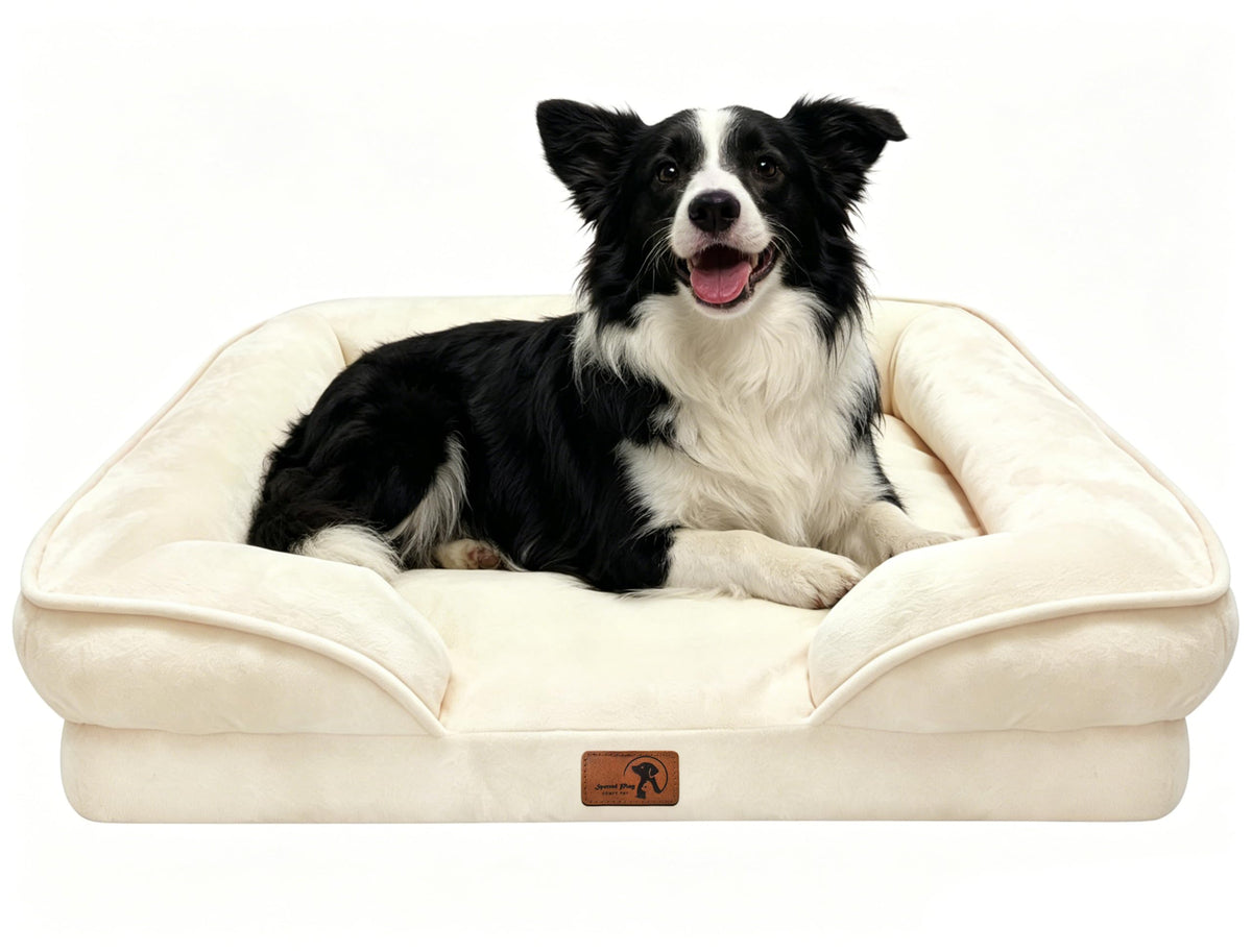 Spotted Play Orthopedic Dog Bed with Sides - Dog Sofa Beds for Medium Dogs, Supportive Foam Pet Couch Bed with Washable Removable Cover, Waterproof Lining and Non-Slip Bottom, Grey - M
