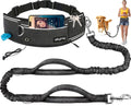 Hands Free Double Dog Leash for Two Dogs 240LB Heavy Duty Bungee