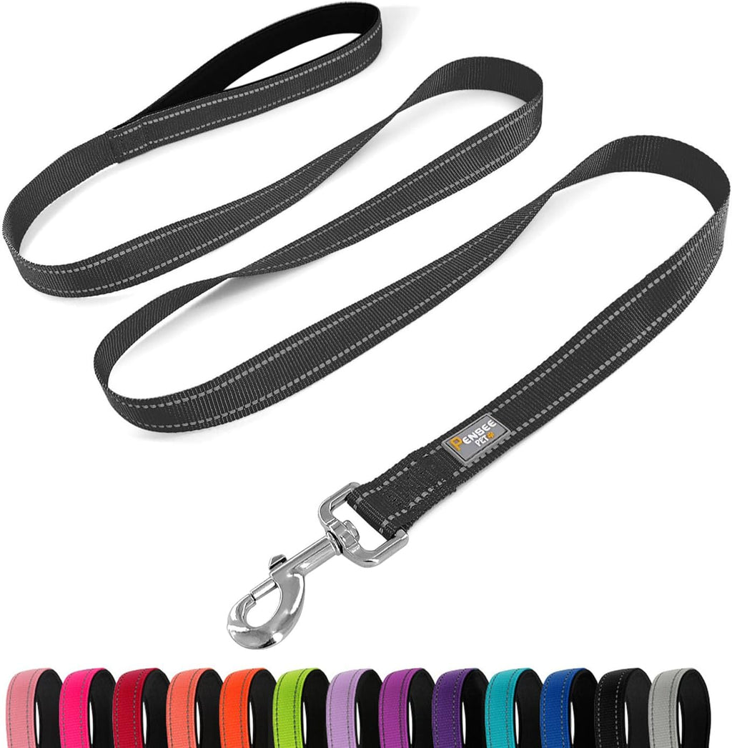 6 FT Basic Dog Leash for Medium Dogs,Black