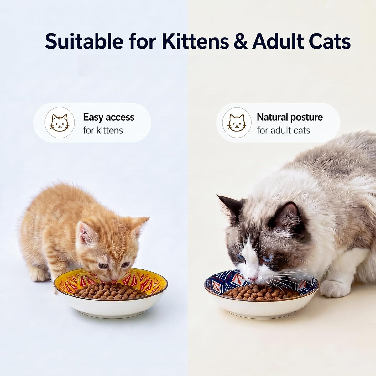 Ceramic Cat Bowls Set of 6 - Colorful Cute Shallow Cat Dishes - Great for Multi-Pet Homes - 5.6 Inch, Whisker Friendly and Wide - Microwave & Dishwasher Safe - 5.3 oz (185 ml)