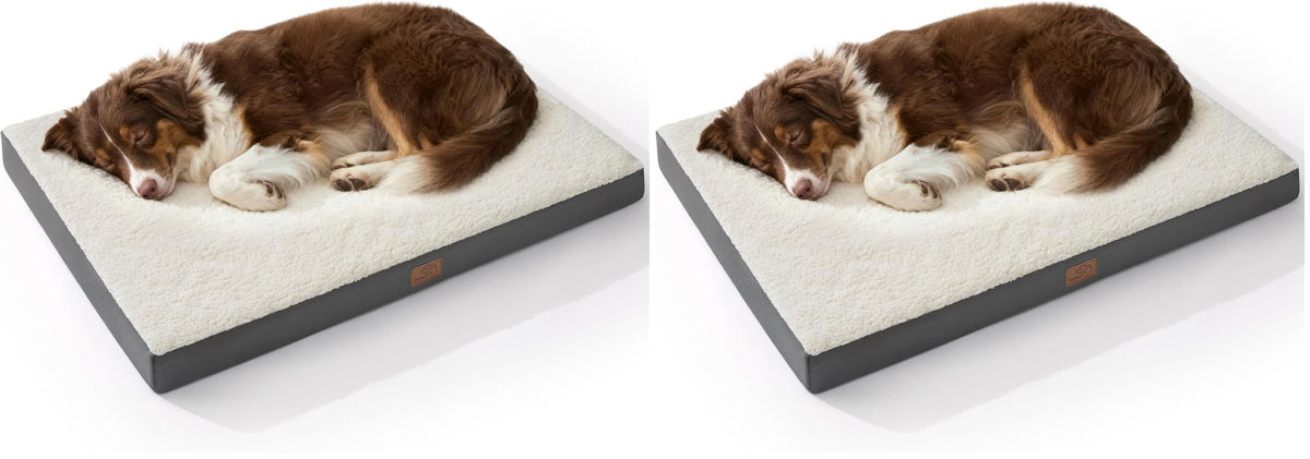 Bedsure Washable Dog Beds Large Sized Dog with Comfy Sherpa, 36x27in Grey