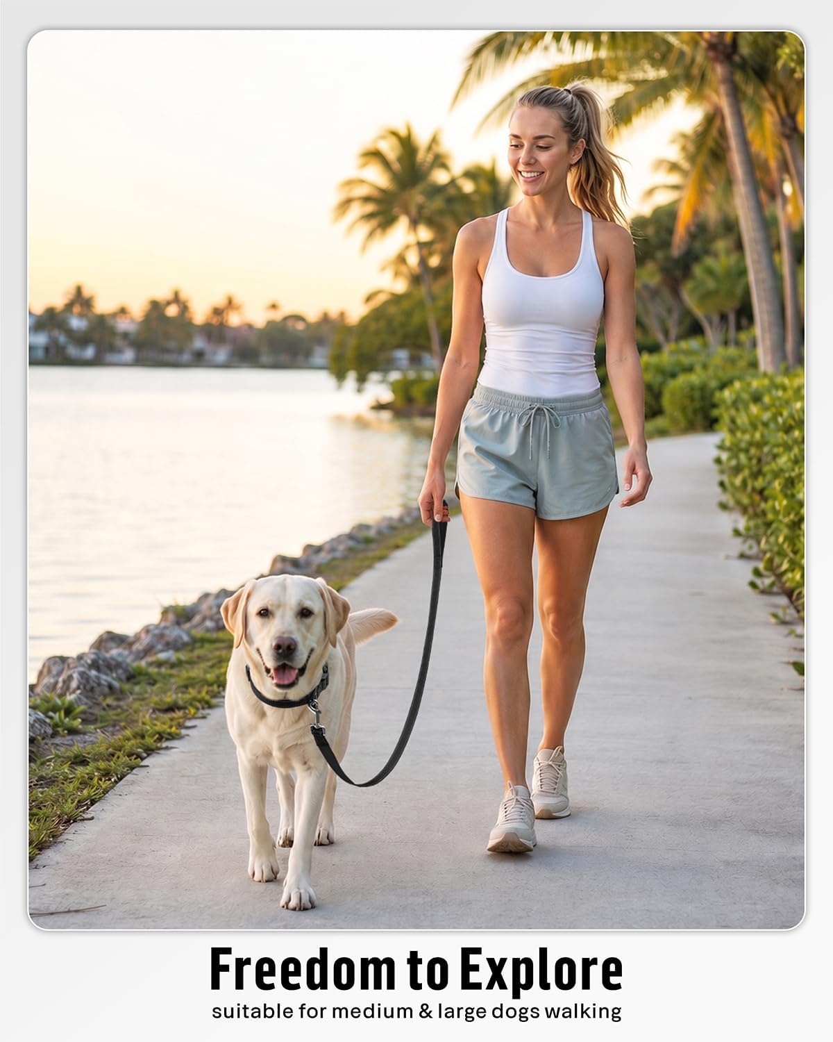 FunTags Reflective Nylon Dog Leash for Medium & Large Dogs, 6FT for Walks