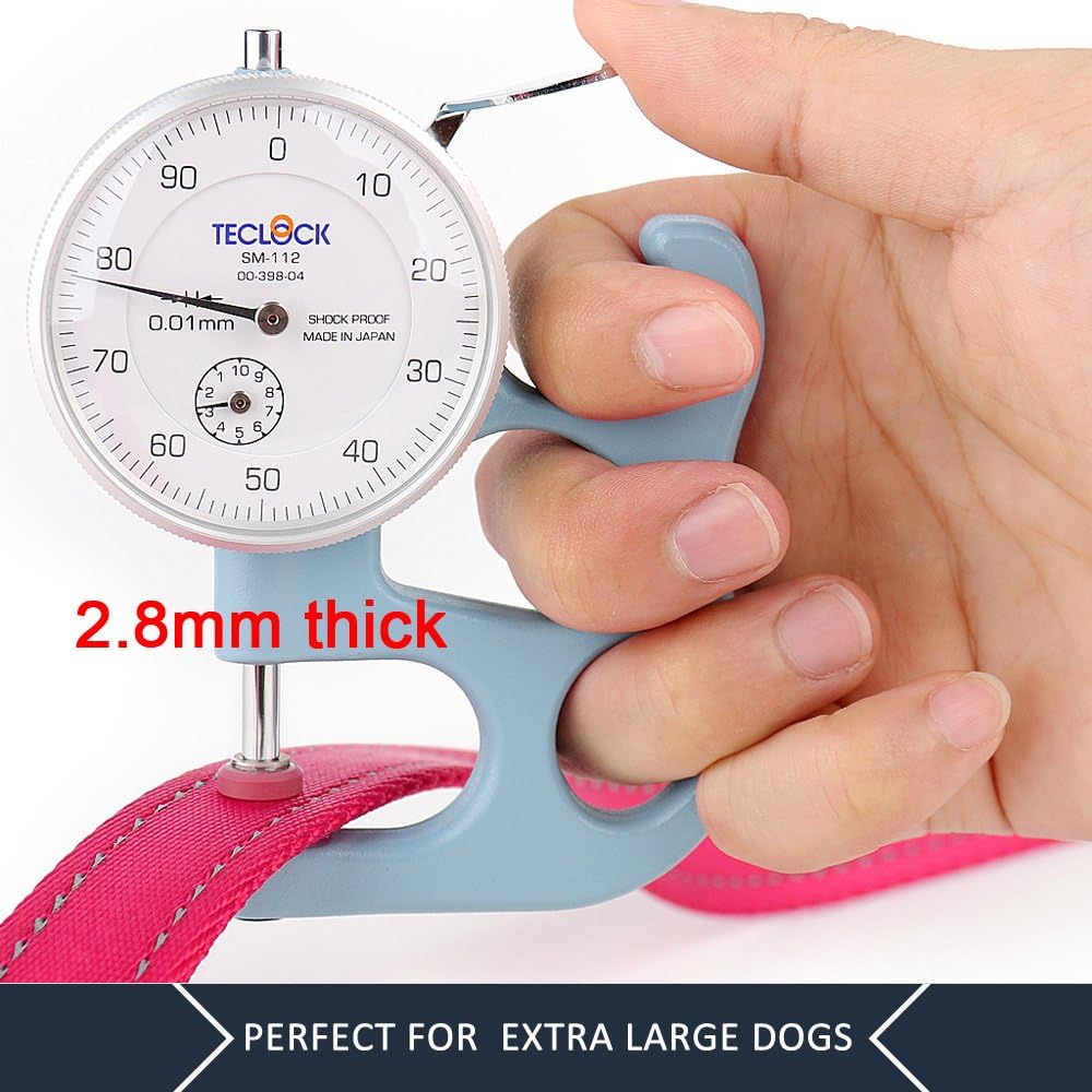 Plutus Pet Double Handle Dog Leash, 6 FT Long, for Medium Large Dogs