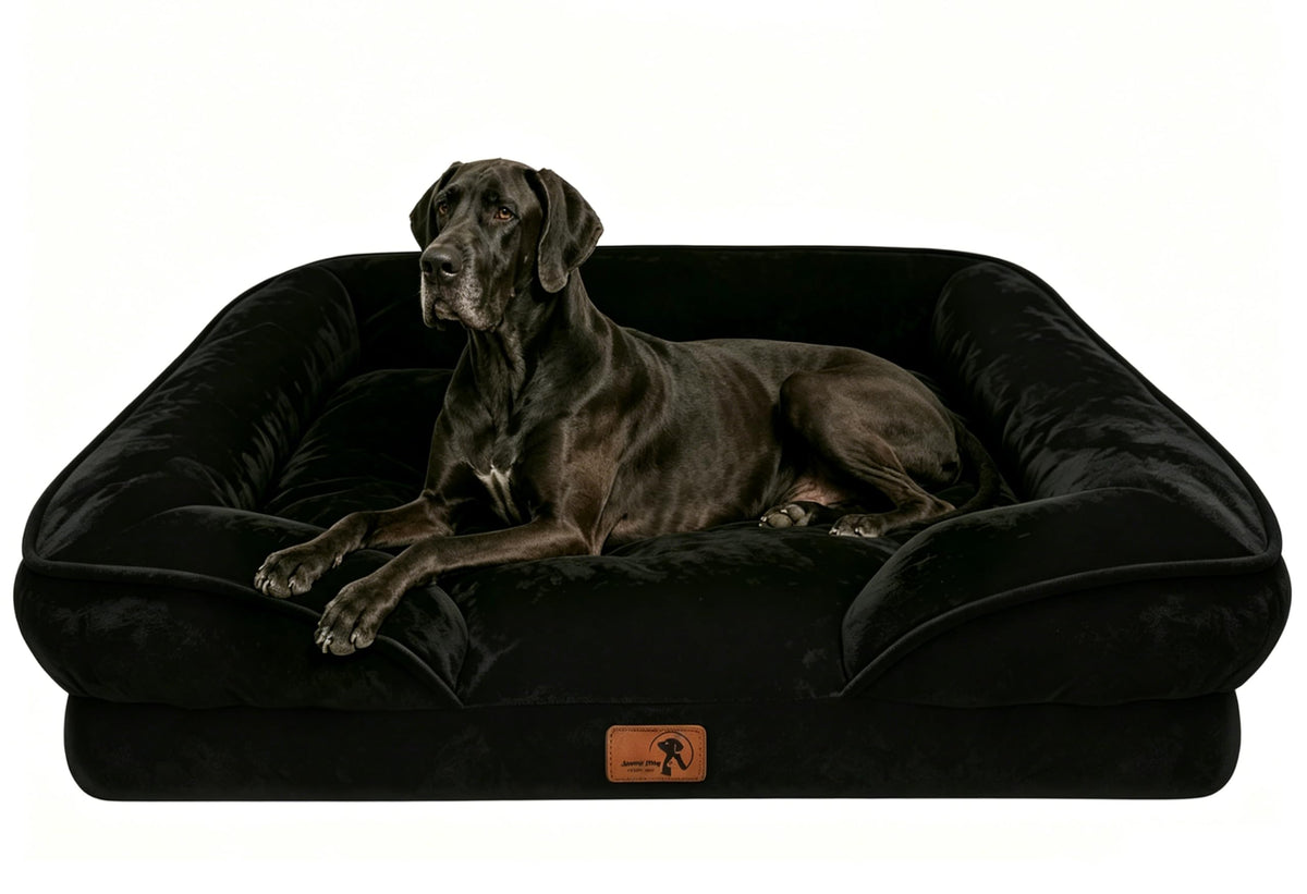 Spotted Play Orthopedic Dog Bed with Sides - Dog Sofa Beds for Medium Dogs, Supportive Foam Pet Couch Bed with Washable Removable Cover, Waterproof Lining and Non-Slip Bottom, Grey - M