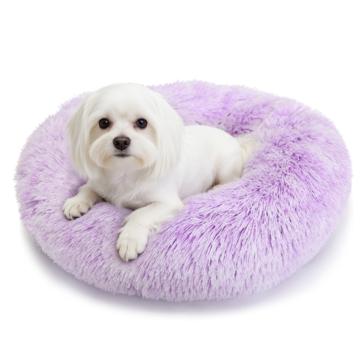 Small Calming Dogs Bed for Small Dogs Anti-Anxiety Machine Washable Fluffy Luxury Anti-Slip Waterproof Mute Base Warming Cozy Soft Pet Puppy Round Bed