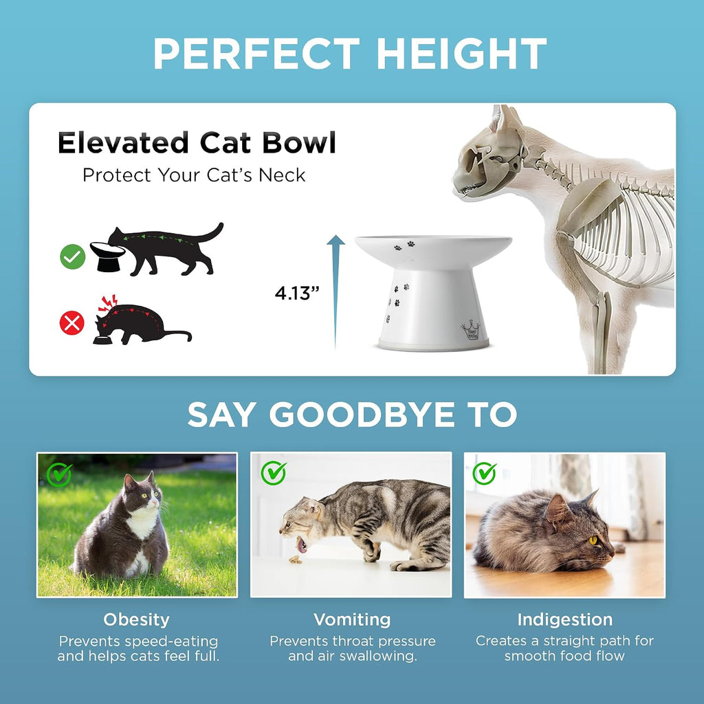 Necoichi Ceramic Extra-Wide Elevated Cat Food Bowl (Cat, Extra Wide)