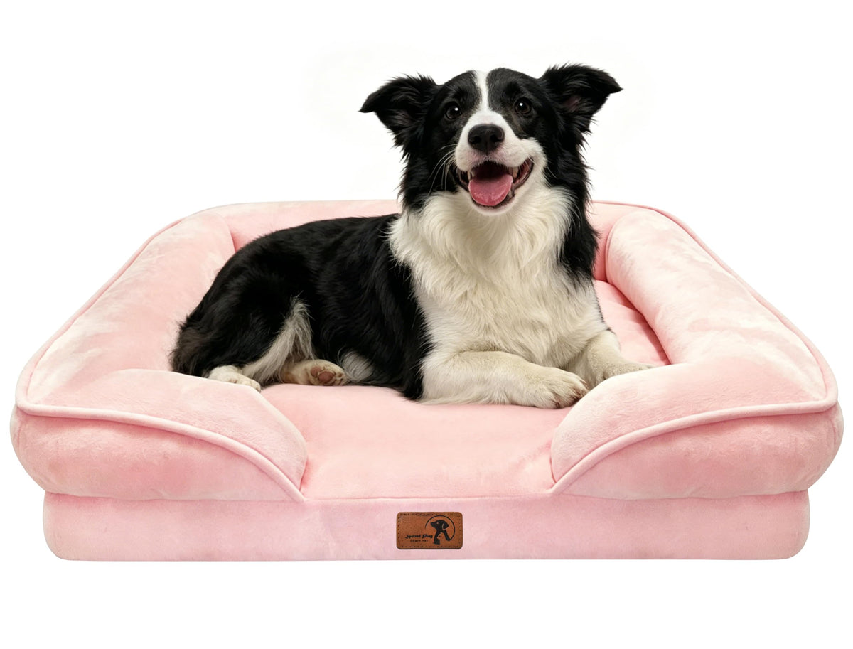 Spotted Play Orthopedic Dog Bed with Sides - Dog Sofa Beds for Medium Dogs, Supportive Foam Pet Couch Bed with Washable Removable Cover, Waterproof Lining and Non-Slip Bottom, Grey - M
