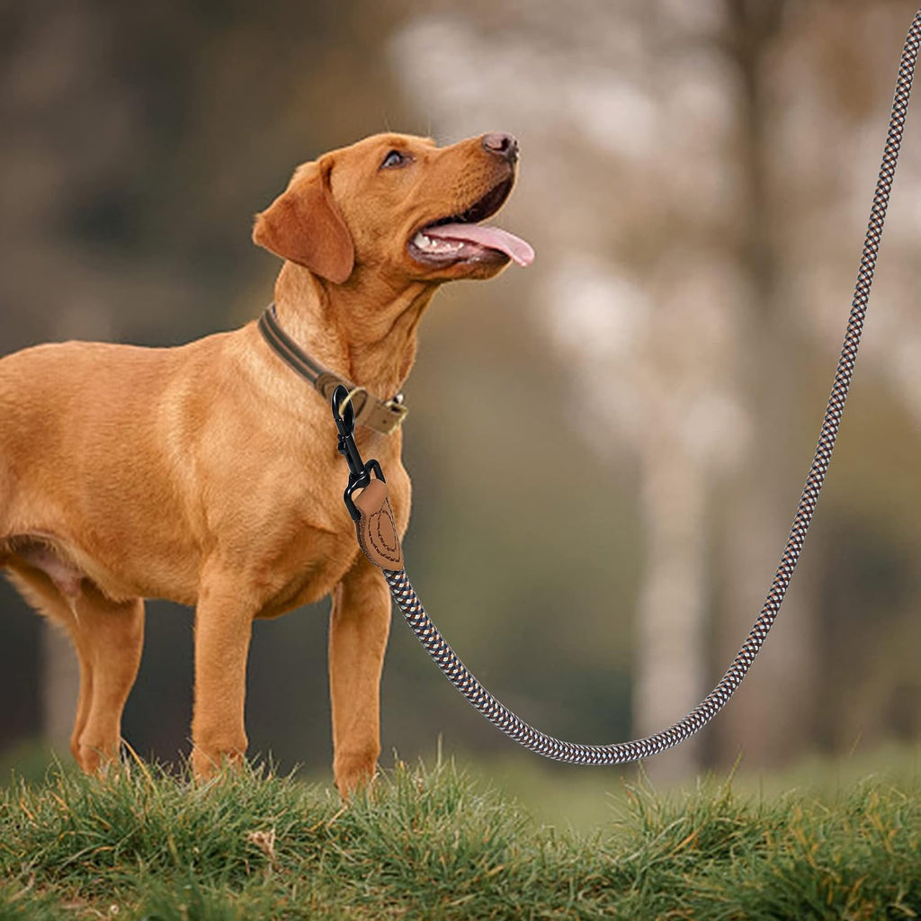 Mile High Life Dog Leash with Genuine Leather-Wrapped Ends, 4/5/6FT