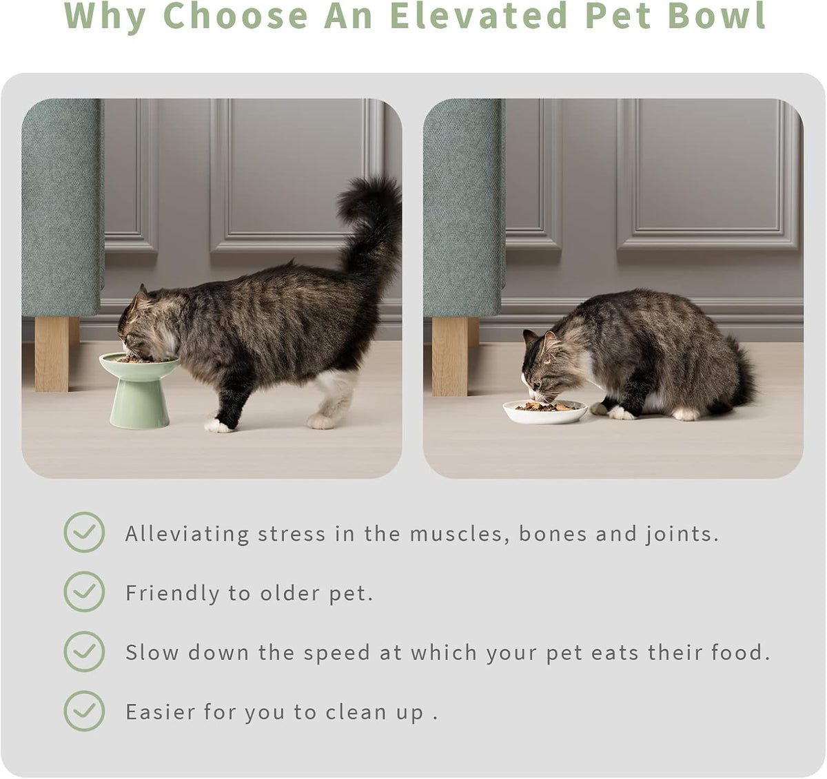 CEEFU 2-Pack Elevated Ceramic Cat Bowls Extra Wide for Food & Water