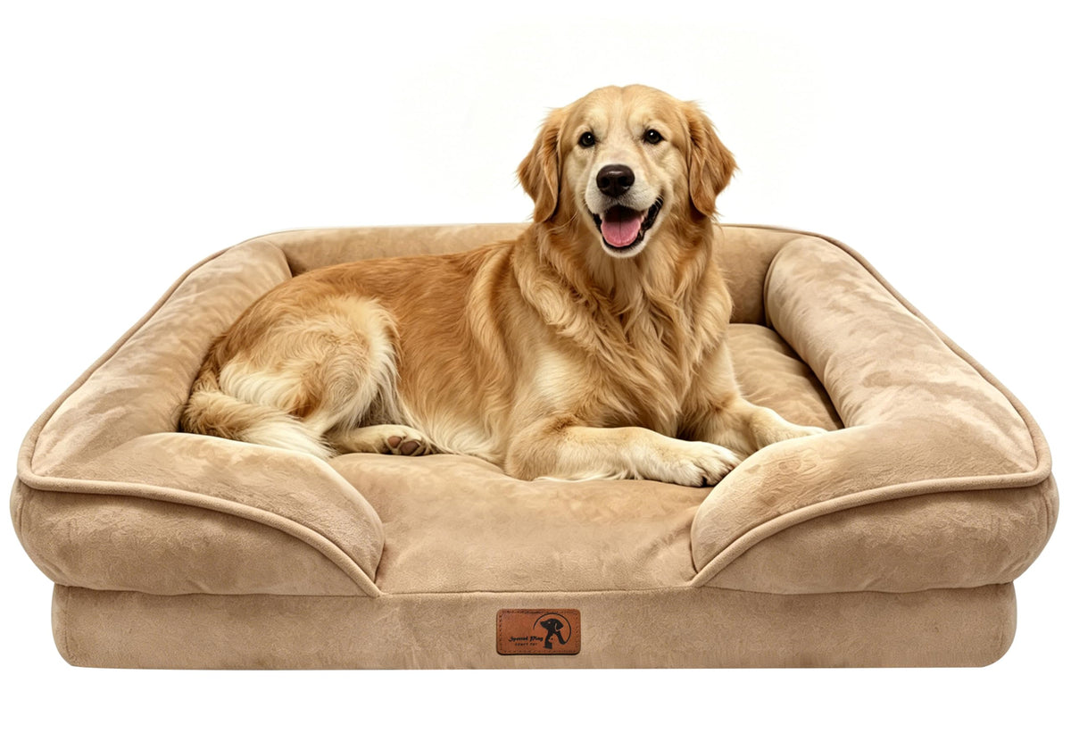 Spotted Play Orthopedic Dog Bed with Sides - Dog Sofa Beds for Medium Dogs, Supportive Foam Pet Couch Bed with Washable Removable Cover, Waterproof Lining and Non-Slip Bottom, Grey - M
