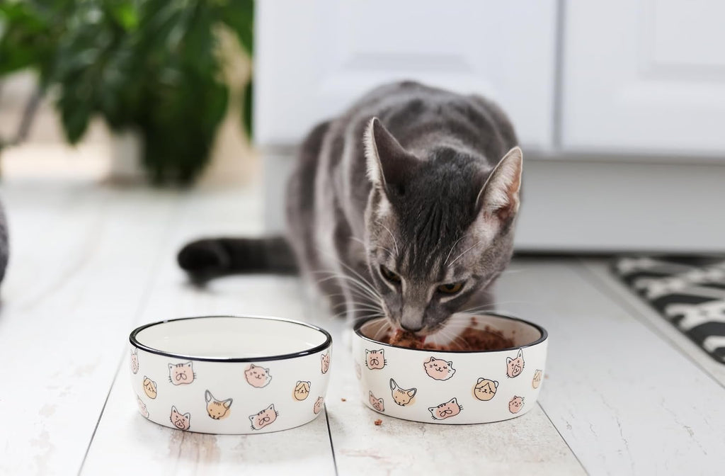 Pearhead Ceramic Cat Bowl, Holds 12 oz, Cute Cat Face Design