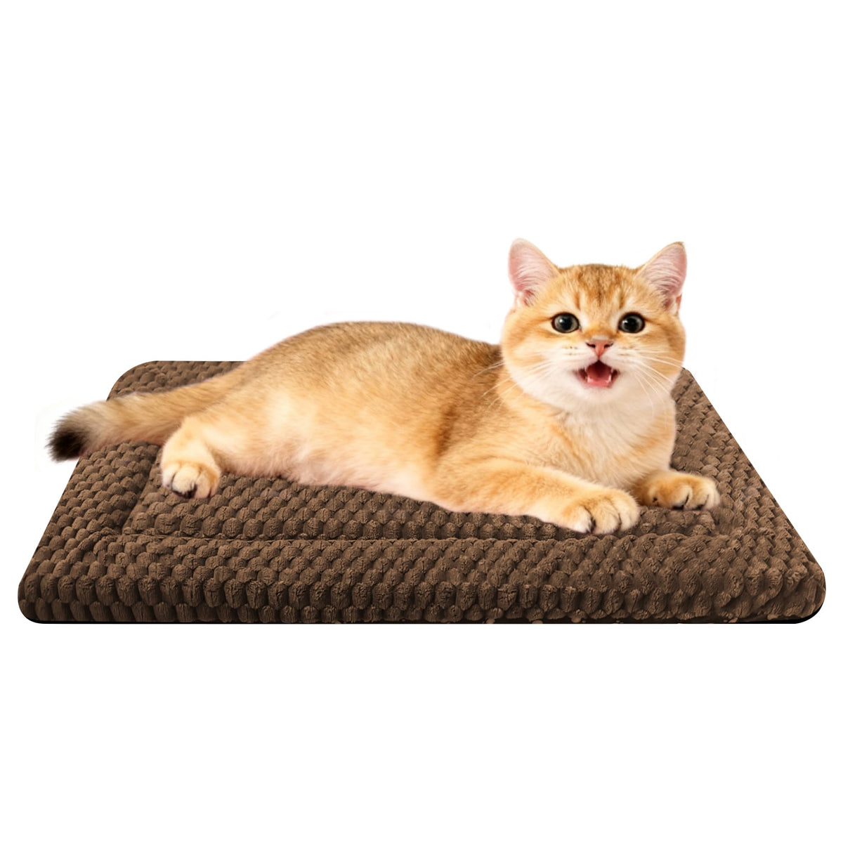 Dog Bed Mat,Reversible & Ultra Soft Kennel Pad-Machine Washable Pet Bed for Dogs & Cats-All-Weather Crate Liner for Crates,Carriers & Travel (Pink, 35" L x 23" W x 1.5" Th)