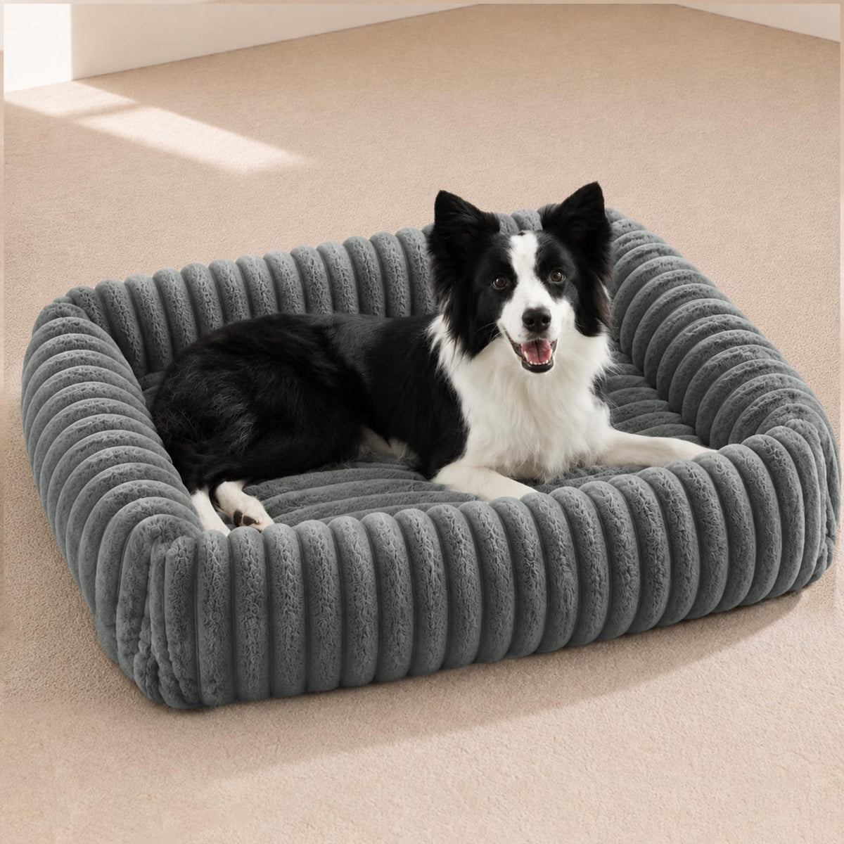 FURTIME Washable Dog Bed for Small Dogs, Cat Beds for Indoor Cats, 20"