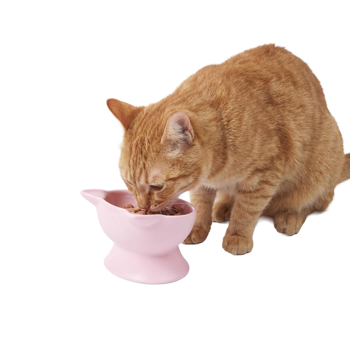 Kitty City Elevated Cat Bowls (Set of 2), Whisker-Friendly Raised Cat Food & Water Dishes, Modern Pedestal Design, Dishwasher Safe, 6.5 oz Each – Pink & Teal