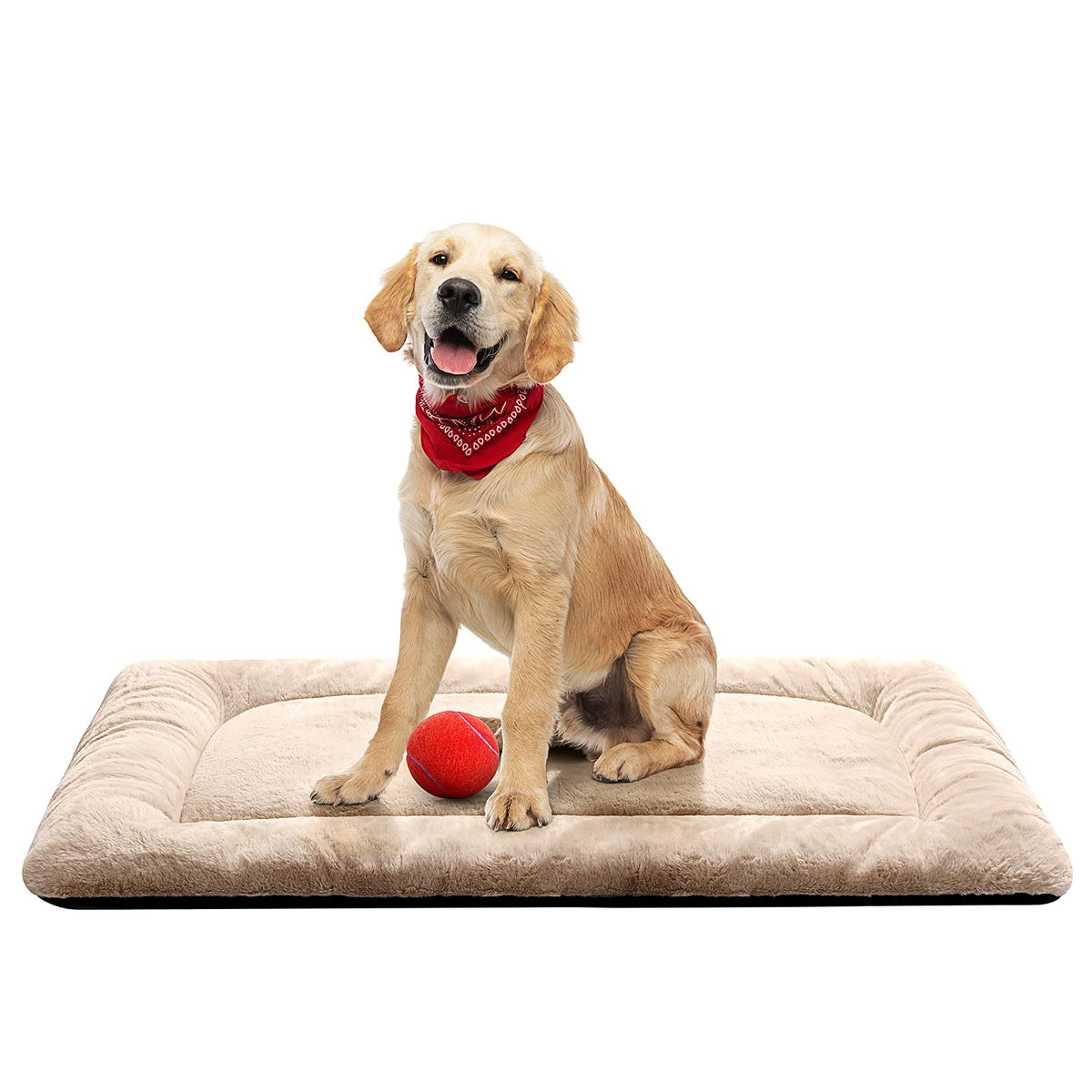 Dog Crate Pad Washable Dog Bed for Crate Medium Cozy Mat 36-Inch Gray