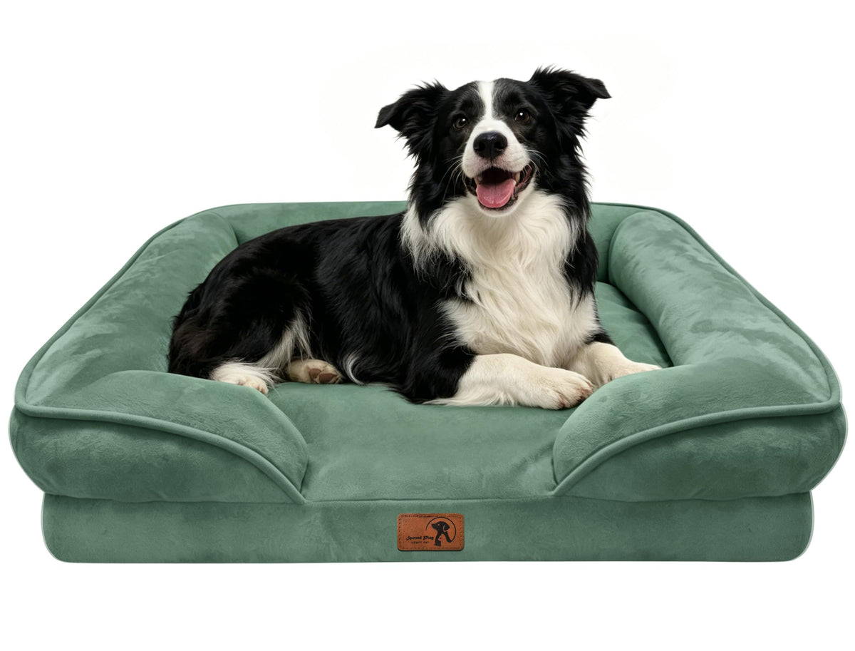 Spotted Play Orthopedic Dog Bed with Sides - Dog Sofa Beds for Medium Dogs, Supportive Foam Pet Couch Bed with Washable Removable Cover, Waterproof Lining and Non-Slip Bottom, Grey - M