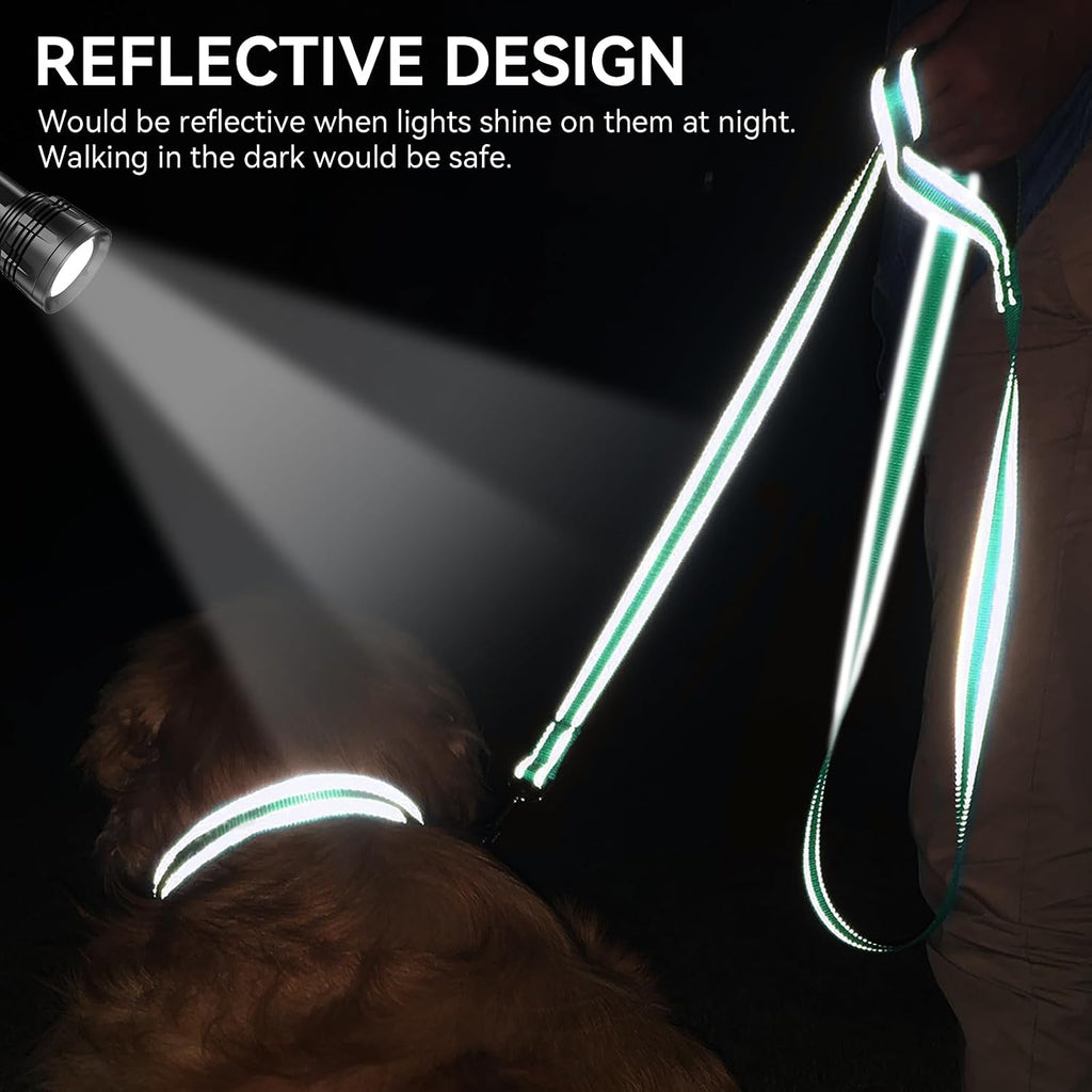 Joytale Reflective Dog Leash for Medium & Large Dogs, 6 FT x 1", Turquoise