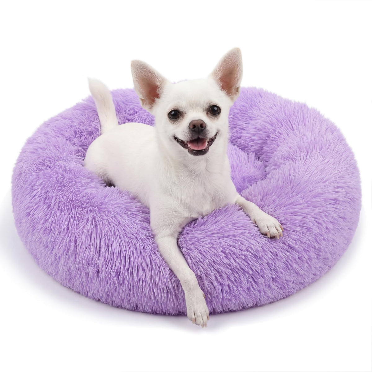 Small Calming Dogs Bed for Small Dogs Anti-Anxiety Machine Washable Fluffy Luxury Anti-Slip Waterproof Mute Base Warming Cozy Soft Pet Puppy Round Bed