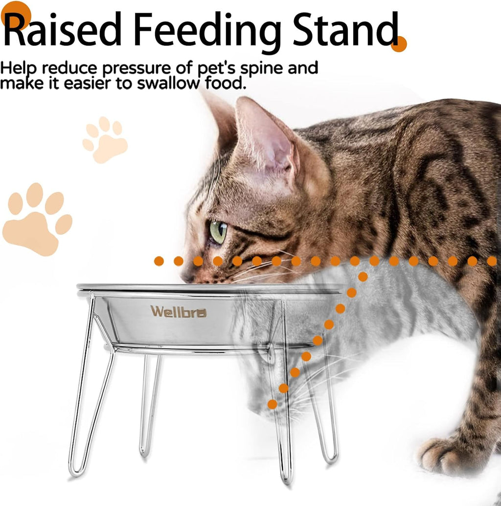 Elevated Cat Bowls, Wide Stainless Steel Cat Food Bowls with Metal Stand Whisker Stress-Free, Raised Food and Water Dish for Cats, Kitten, Puppies and Small Dogs