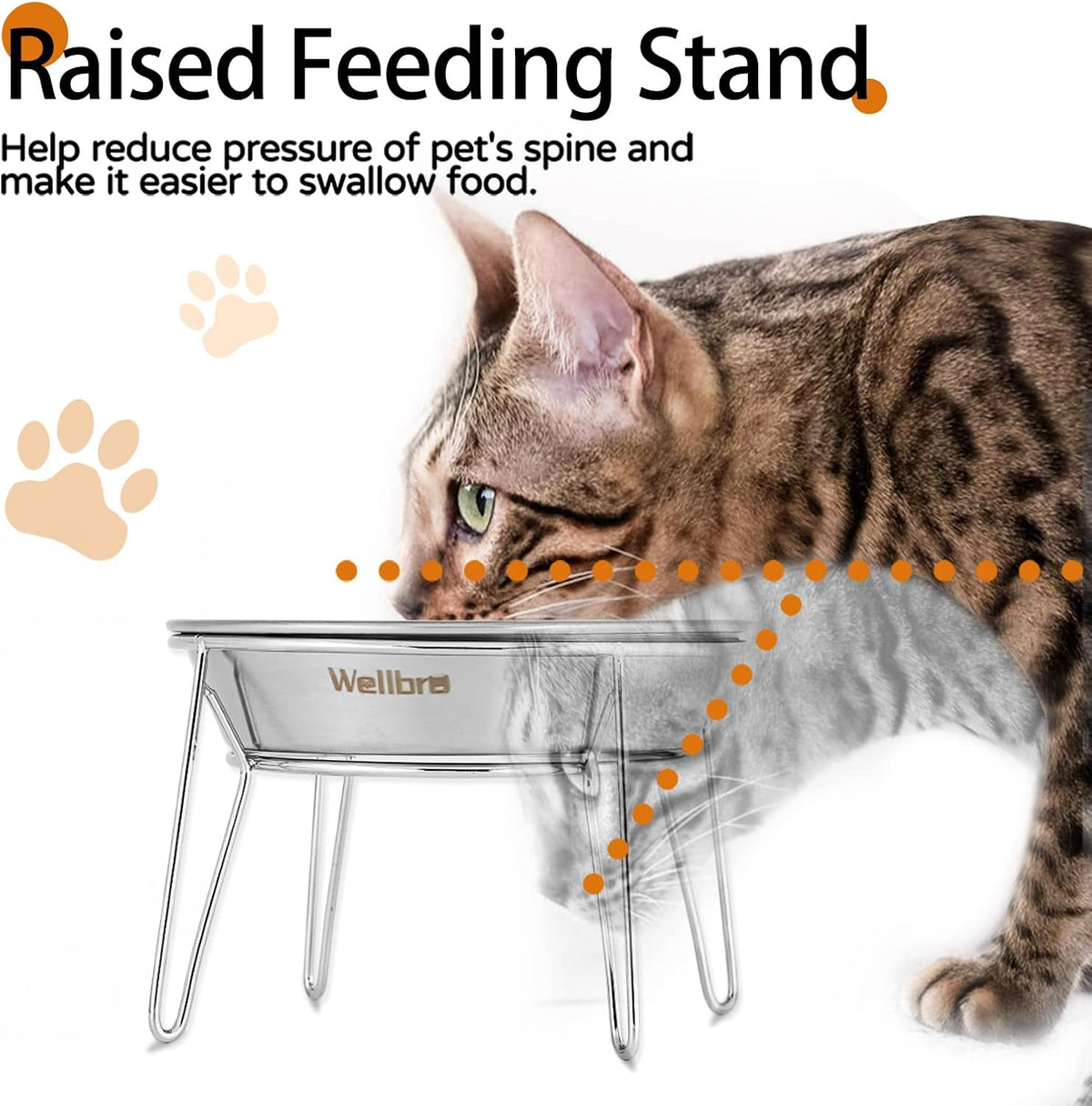 Elevated Cat Bowls, Wide Stainless Steel Cat Food Bowls with Metal Stand Whisker Stress-Free, Raised Food and Water Dish for Cats, Kitten, Puppies and Small Dogs