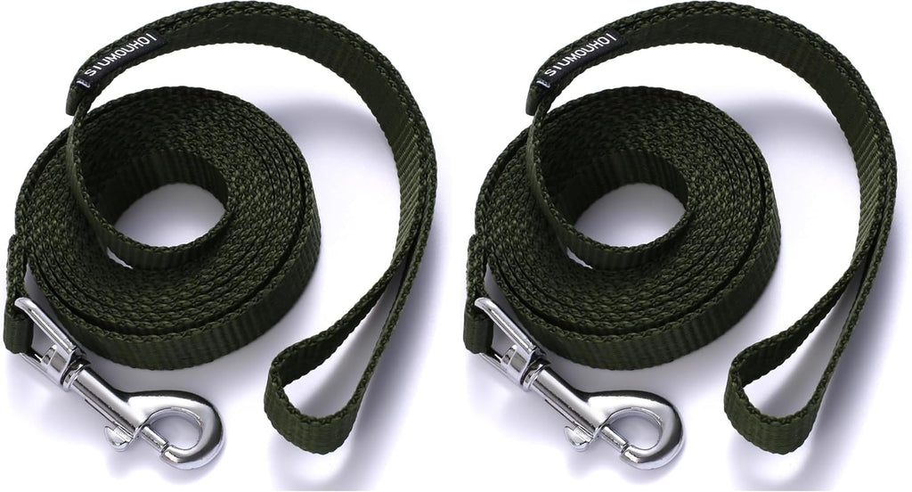 6 FT Puppy Leashes, Strong Traditional Style Leash with Easy to Use Collar Hook,Dog Lead Great for Small and Medium and Large Dog (Mint Blue, 5/8 in x 6 ft)