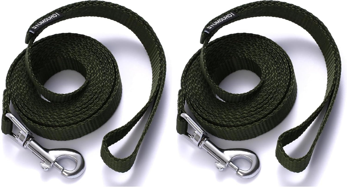 6 FT Puppy Leashes, Strong Traditional Style Leash with Easy to Use Collar Hook,Dog Lead Great for Small and Medium and Large Dog (Mint Blue, 5/8 in x 6 ft)