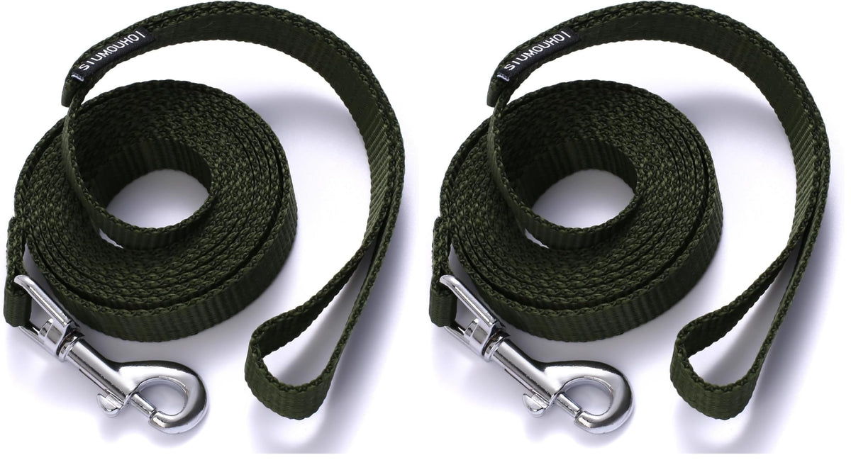 6 FT Puppy Leashes, Strong Traditional Style Leash with Easy to Use Collar Hook,Dog Lead Great for Small and Medium and Large Dog (Mint Blue, 5/8 in x 6 ft)