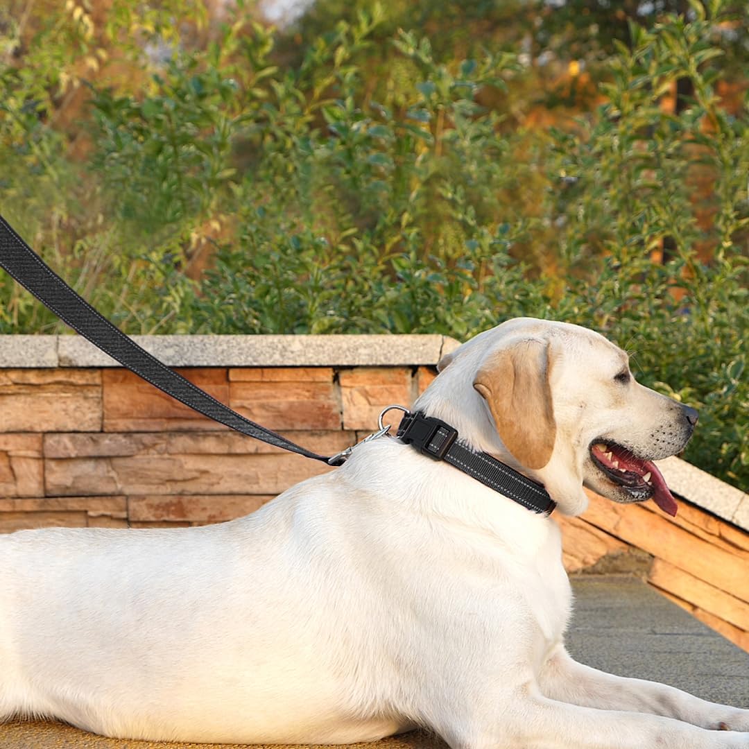 6 FT Basic Dog Leash for Medium Dogs,Black