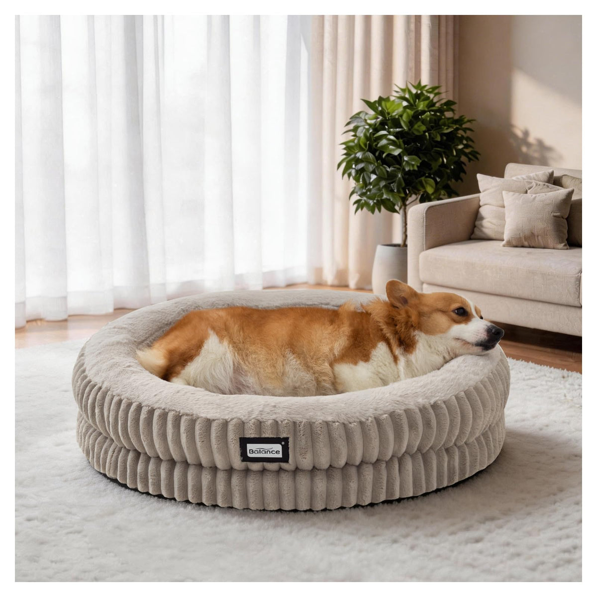 BALANCE Cat Bed Kitten Bed, Washable Round Cat Beds for Indoor Cats, Super Soft Plush Faux Fur Pet Bed for Puppy and Kitten with Anti-Slip Bottom