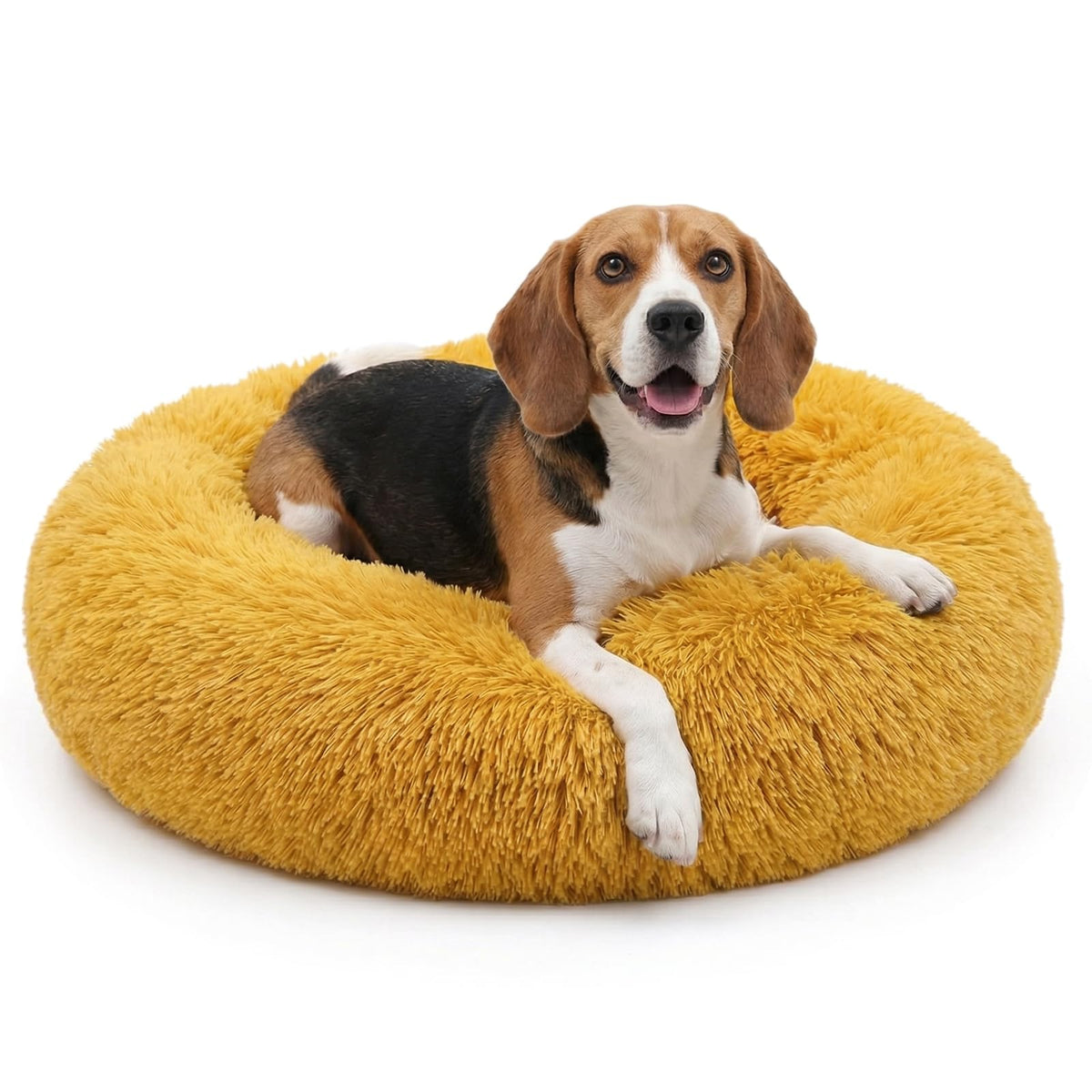 Small Calming Dogs Bed for Small Dogs Anti-Anxiety Machine Washable Fluffy Luxury Anti-Slip Waterproof Mute Base Warming Cozy Soft Pet Puppy Round Bed