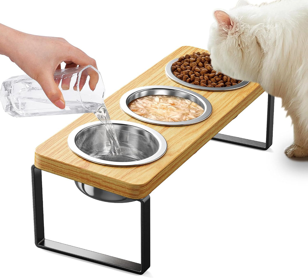Elevated Cat Bowls with 3 Stainless Steel Bowls | 10° Tilted Anti-Vomiting Raised Cat Food Bowl for Small Cats and Puppies Pet Bowl with Stand