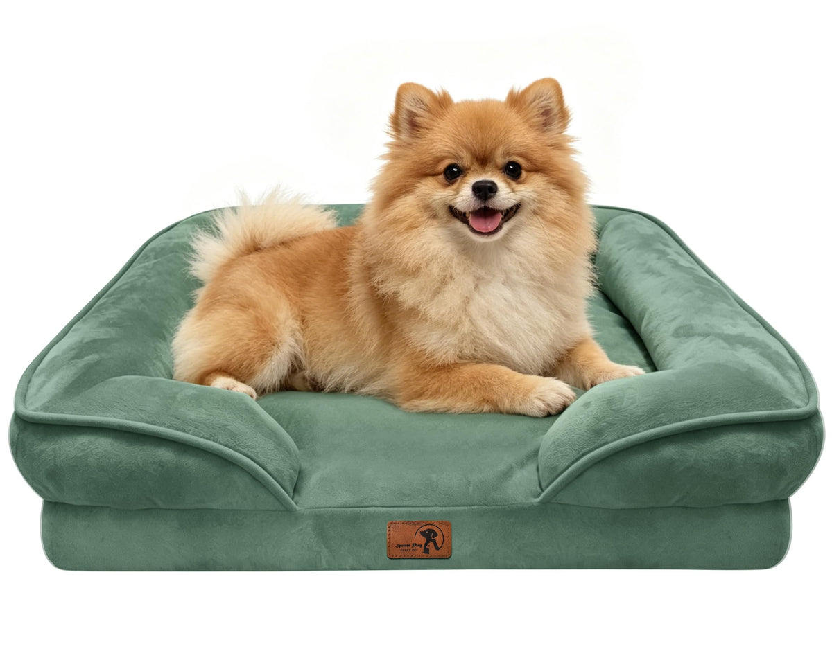 Spotted Play Orthopedic Dog Bed with Sides - Dog Sofa Beds for Medium Dogs, Supportive Foam Pet Couch Bed with Washable Removable Cover, Waterproof Lining and Non-Slip Bottom, Grey - M