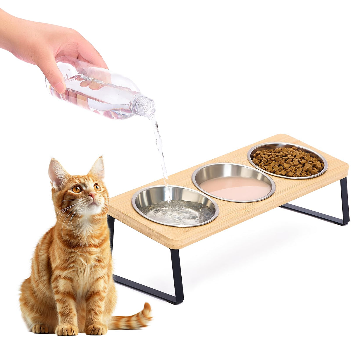 Elevated Cat Bowls, 15° Tilted Glass Raised Cat Food and Water Bowl