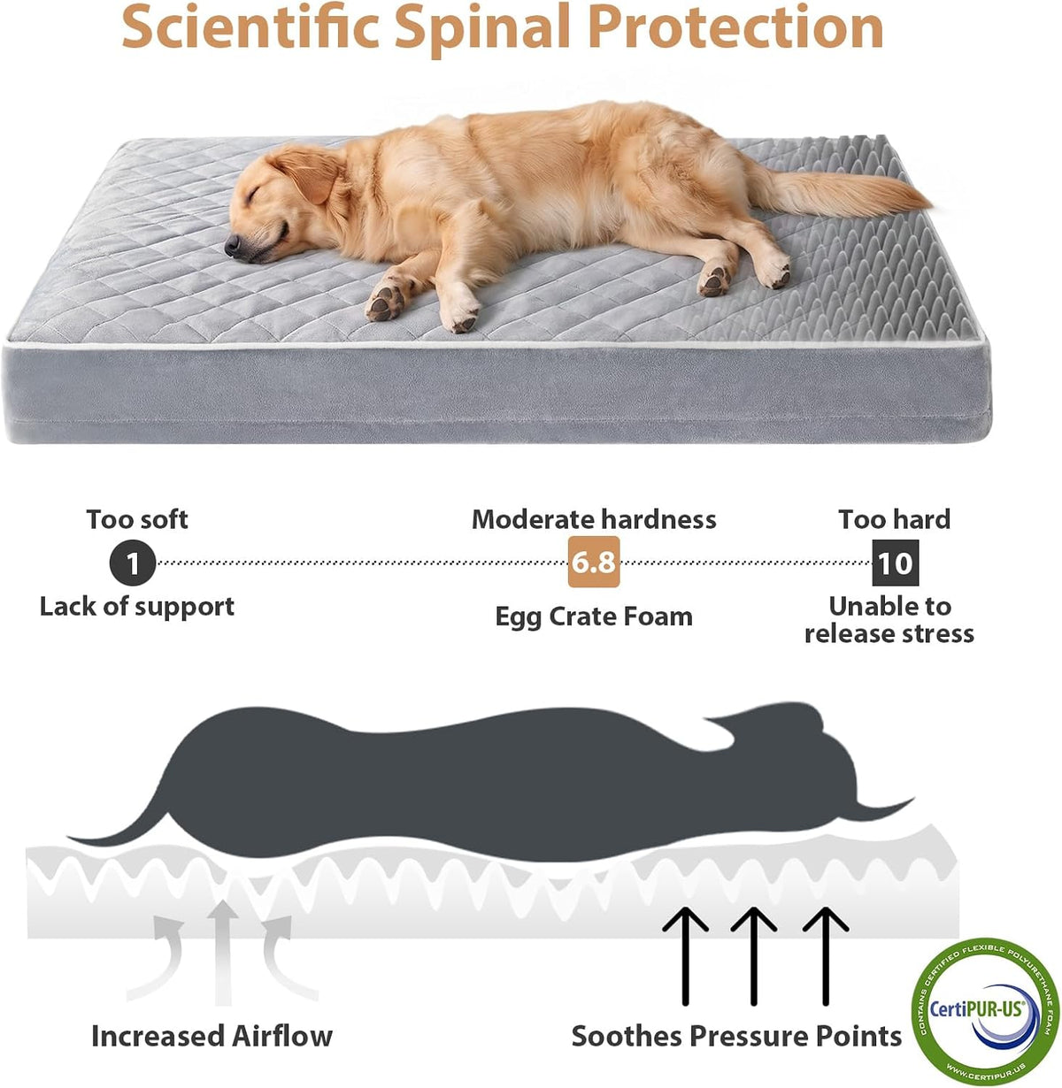 WNPETHOME Orthopedic Waterproof Extra Large Senior Dogs Bed for Comfy Sleep