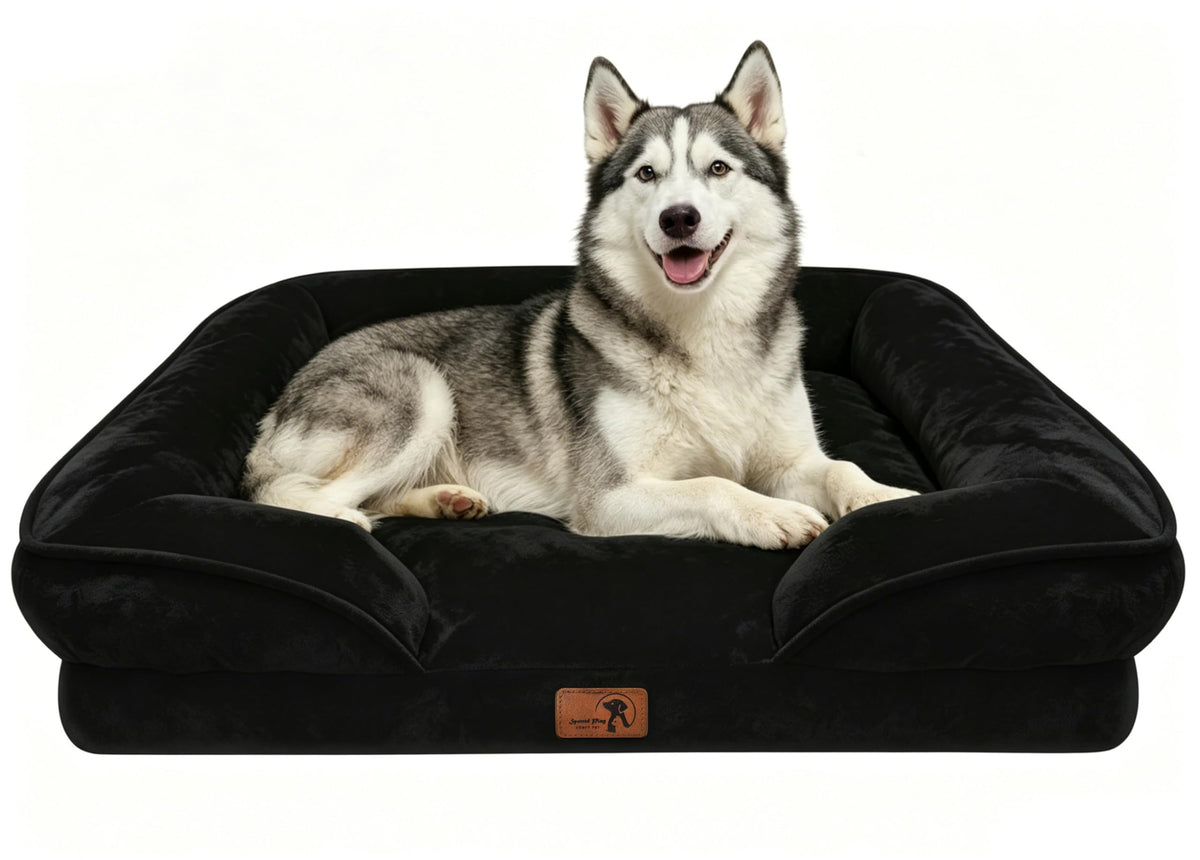 Spotted Play Orthopedic Dog Bed with Sides - Dog Sofa Beds for Medium Dogs, Supportive Foam Pet Couch Bed with Washable Removable Cover, Waterproof Lining and Non-Slip Bottom, Grey - M