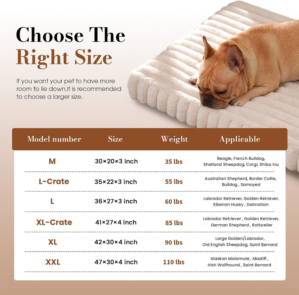 Dog Beds for Large Sized Dog, Orthopedic Foam with Waterproof Lining