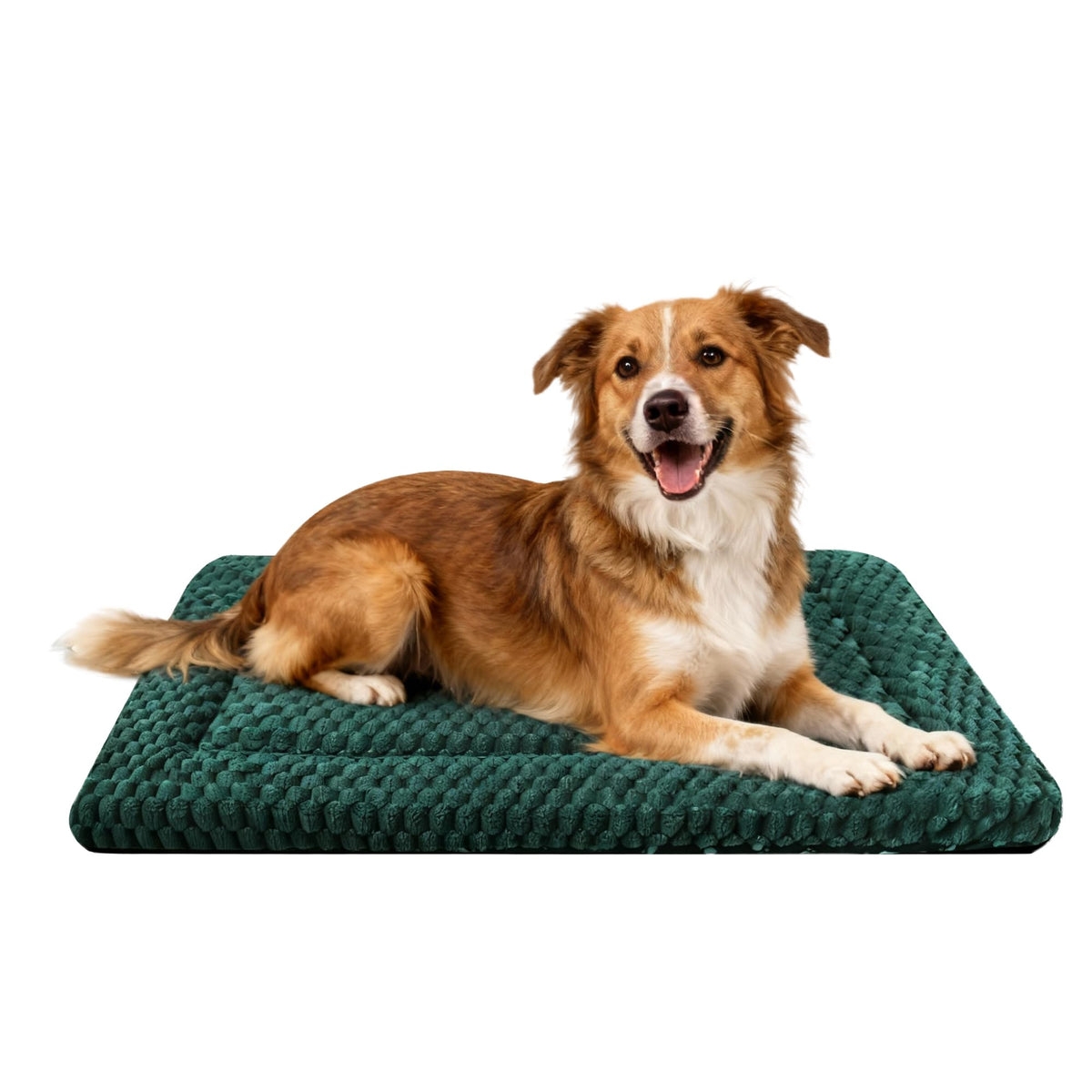 Dog Bed Mat,Reversible & Ultra Soft Kennel Pad-Machine Washable Pet Bed for Dogs & Cats-All-Weather Crate Liner for Crates,Carriers & Travel (Pink, 35" L x 23" W x 1.5" Th)