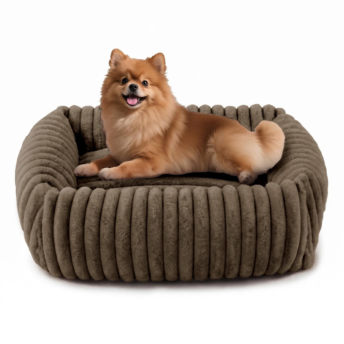 FURTIME Washable Dog Bed for Small Dogs, Cat Beds for Indoor Cats, 20"