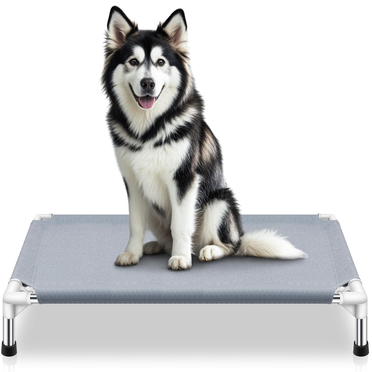 Elevated Dog Bed, Raised Outdoor Dog Bed for Medium Dogs, Portable Pet Cots