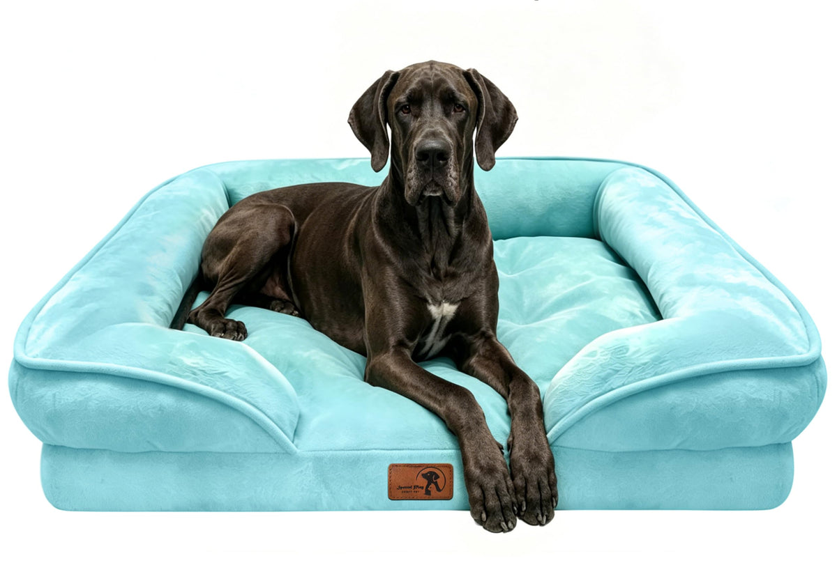 Spotted Play Orthopedic Dog Bed with Sides - Dog Sofa Beds for Medium Dogs, Supportive Foam Pet Couch Bed with Washable Removable Cover, Waterproof Lining and Non-Slip Bottom, Grey - M